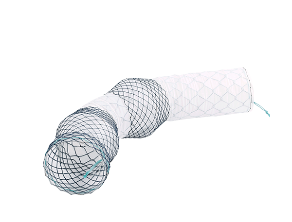 Produktebilder_Kategorie_Niti-S-Beschichteter-oesophagus-Stent-Beta-2