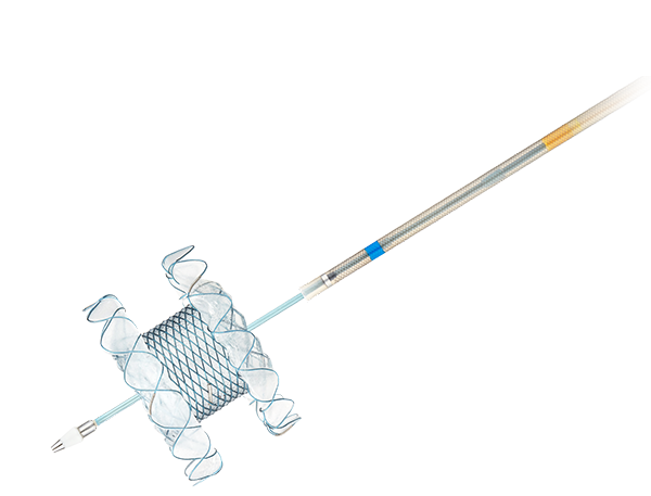 Produktebilder_Kategorie_Niti-S-HotSPAXUS-Stent