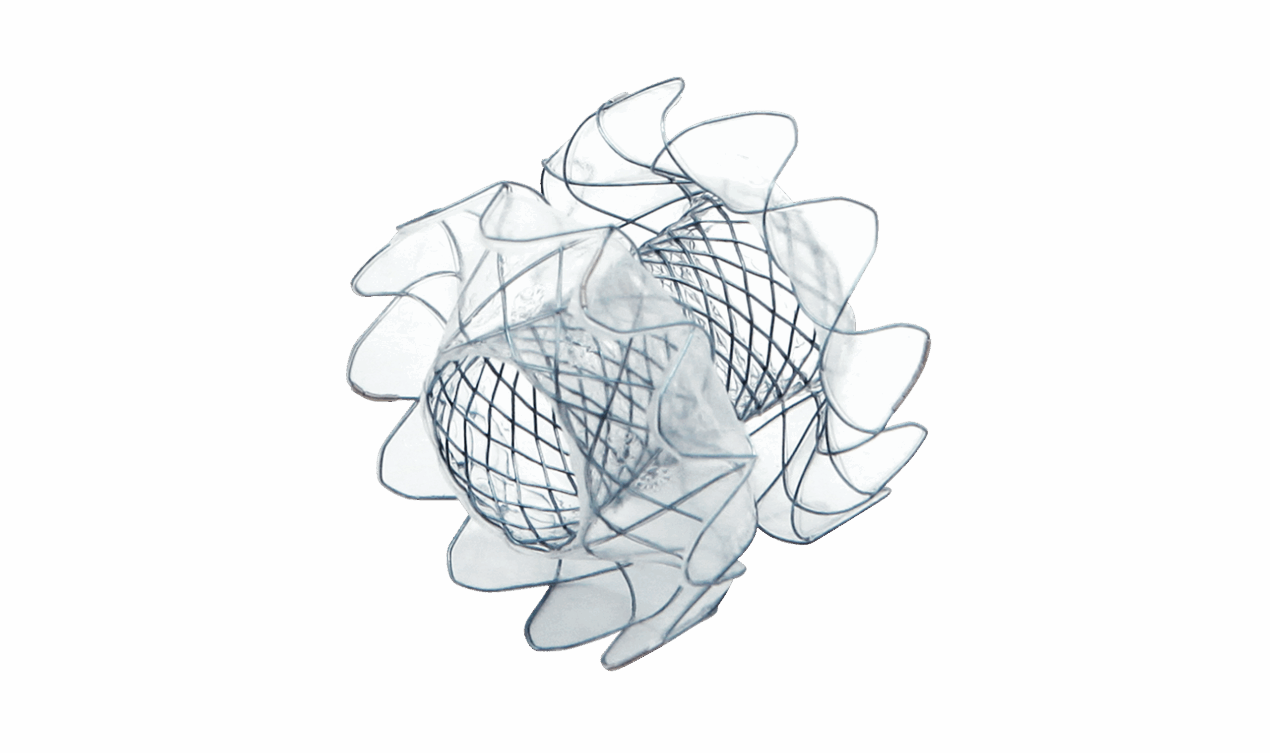 Produktebilder_Niti-S-SPAXUS-Stent